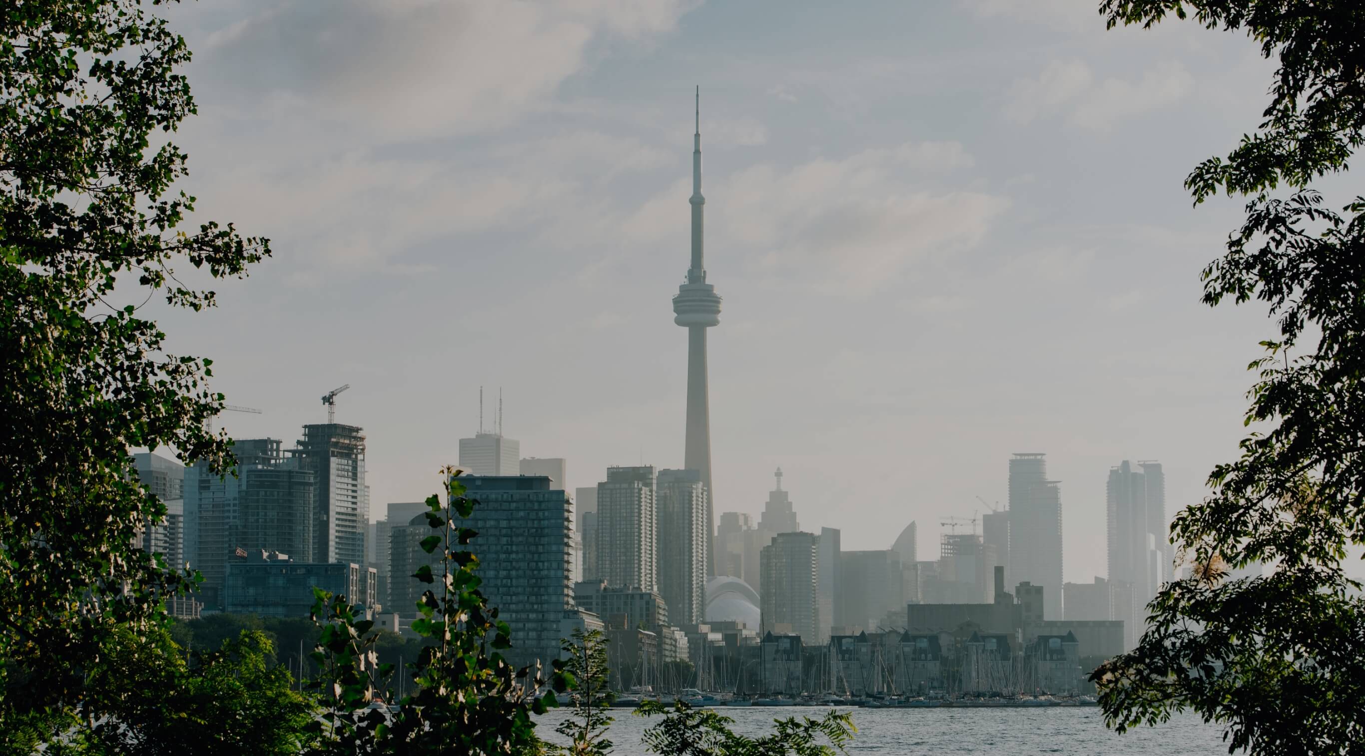 marlin spring the tailor neighbourhood cn tower